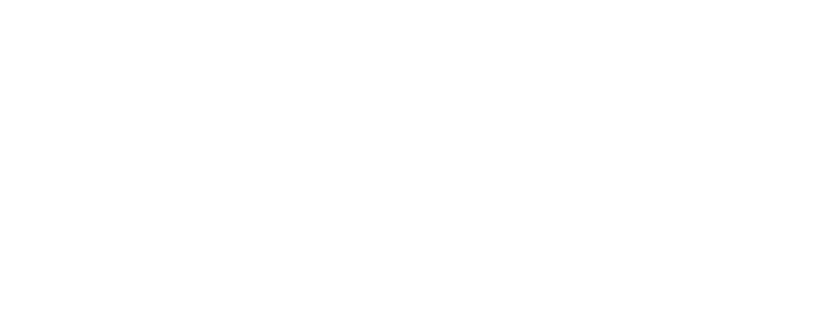 跨维智能的合作伙伴：比亚迪